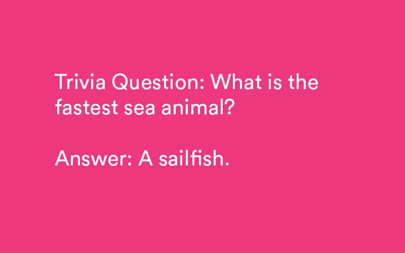 animal trivia questions