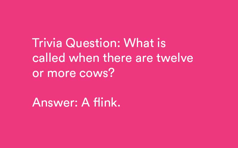 animal trivia questions
