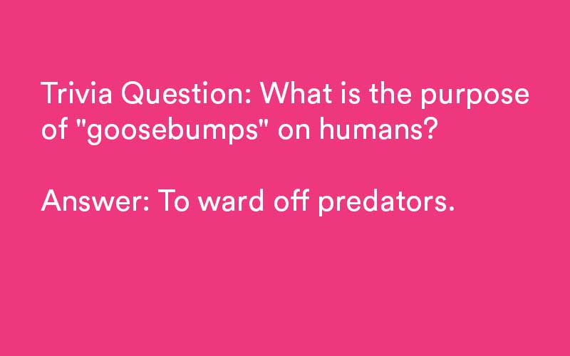 funny trivia questions