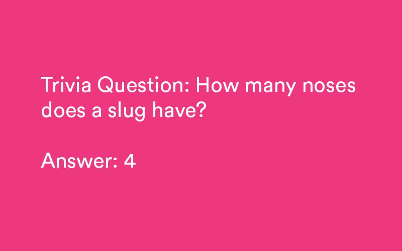 trivia questions for kids